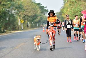 BIB: 
                            <button type="button" onclick="openModal(10196300)" class="btn btn-primary btn-sm float-right btn-popup" data-toggle="modal" data-target=".modal-high-quality">
                        <i class="fas fa-shopping-cart"></i> Add to Cart
                    </button>
                                            <button type="button" onclick="isThisMe(10196300, true)" class="btn btn-success btn-sm float-right btn-popup btn-isme hidden" data-toggle="tooltip" data-placement="bottom" title="นี่คือรูปของคุณใช่ไหม คลิกที่นี่เพื่อเอาเข้าอัลบั้ม">
                        <i class="fas fa-plus"></i> Add to album
                    </button>
                    <button type="button" onclick="isThisMe(10196300, false)" class="btn btn-warning btn-sm float-right btn-popup btn-isnotme hidden">
                        <i class="fas fa-ban"></i> Remove from album
                    </button>